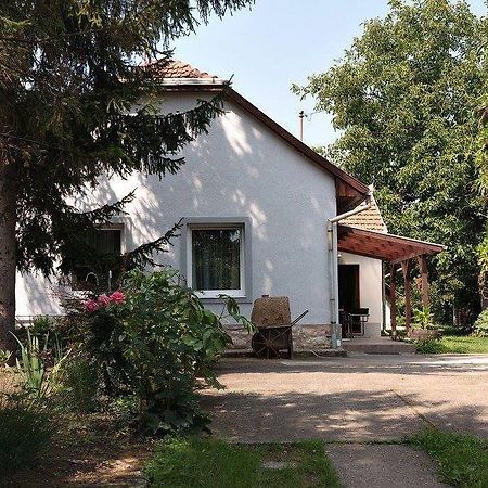 Borostyan 20 Vendeghaz Daire Sárospatak Dış mekan fotoğraf