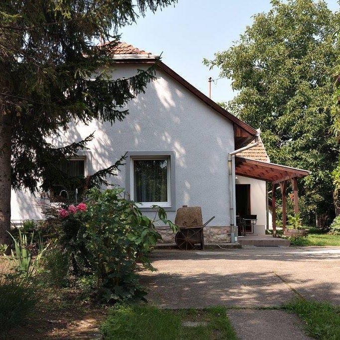 Borostyan 20 Vendeghaz Daire Sárospatak Dış mekan fotoğraf